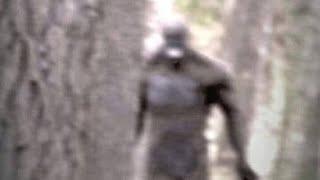 A Man Is Grateful To Be Able To Speak  About What He Saw In The Woods That Terrified Him