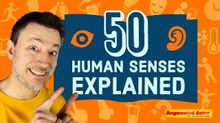 50 Human Senses Explained - How Actors Can Use Sense Memory