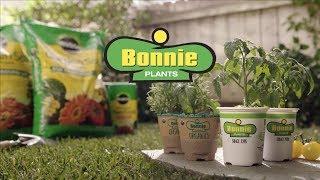 The Harvest is in Your Hands with Bonnie Plants®