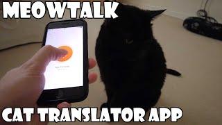 Meow Talk Cat Translator App