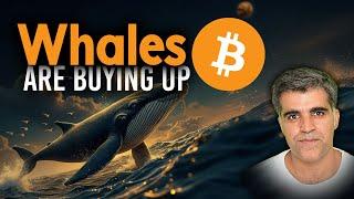 Crypto Market Latest News Updates Micheal Saylor Whales Buying BTC right now