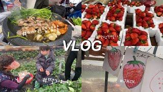 vlog/5살아기랑보내는주말/원동미나리삼겹살/삼랑진딸기사기/딸기따기체험/육아브이로그