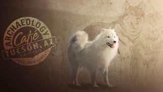 The History of the Coast Salish Woolly Dogs