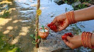 Miniature Lassi | Lassi Recipe | Chocolate | Fruit Jam | Masala |#32 | Mini Foodkey