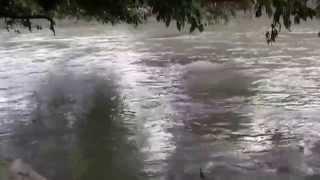 Peaceful Sound of Indian Holy River Ganges (Haridwar) (1080p HD)