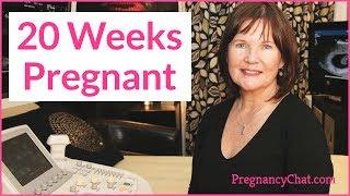 "20 Weeks Pregnant" by PregnancyChat.com @PregChat