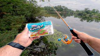 1H pour PÊCHER un max de poissons avec cette CANNE pour ENFANT !