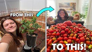 From Noob to Master Gardener!!!