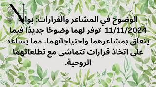 بوابة 11/11/2024  تأثيرها على توأم الشعلة  #عشوائيات_الطاقة #الهارب #المطارد #توأم_الشعلة #dubailife