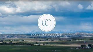 Cobblestone Creek Airdrie Community Overview | Shane Homes