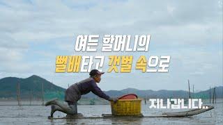 여든 할머니의 뻘배 타고 갯벌 속으로ㅣ물때 EP.4 바다가 주는 선물