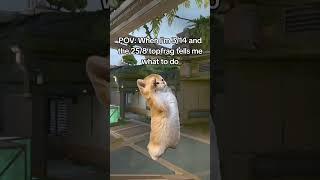 Valorant Memes #valorant #valorantclips #shorts