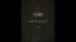 *سورۃ یوسف*#APP #saaf #Nafas #amara #insane#Quran#youtubeshort#usmankareem
