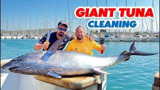 Dev Balığı Temizleyip Parçalara Ayırdık / Rahatlatıcı Video ( Giant Tuna Cleaning )