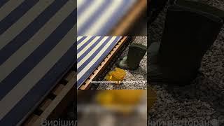 Ресторан Чорноморка