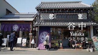 Walking in Yanaka, downtown Tokyo