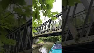 Nature along a Narrowboat cruise #canal #narrowboat #electricnarrowboat #nature