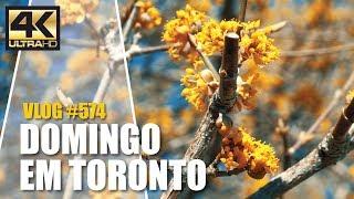 Um Domingo Lindo em Toronto | DAILY VLOG #574