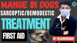 Mange Treatment In Dogs || Demodectic Mange, Sarcoptic Mange || First Aid इलाज || Serious Problem 