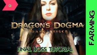 Dragon's Dogma SPEED RUN DARK ARISEN Farming Daimon Final boss w/ epictreasure TUTORIAL