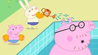 Daddy Pig's Swimming FAIL Peppa Pig Full Kids Episodes | 30 Minutes