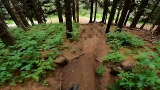 MSM Trail 2022 Track Preview POV