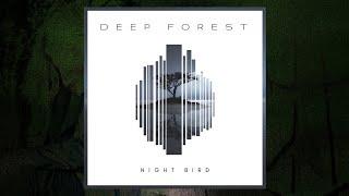 Deep Forest - Night Bird (Audio)