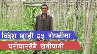 वार्षिक १५ / २० लाख कमाउन विदेश नजाउँ || Agriculture in Nepal ||