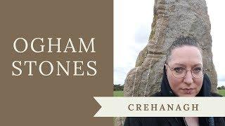 Ogham at Crehanagh, Co. Waterford - Visiting Ogham Stones in Ireland