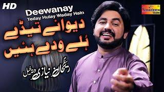 Dewany Tedy Holy Wady Hain | Rehan Niazi Wattakhel | ( Official Video ) | Shaheen Studio