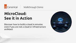 MicroCloud LTS Demo