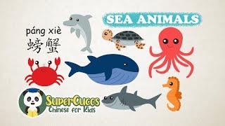 学中文-12种海洋动物 | Learn Chinese for kids - 12 Sea Animals | Aprender Chino - 12 Animales Acuáticos