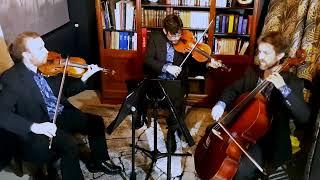 Lawrence String Trio playing Mozart Adagio