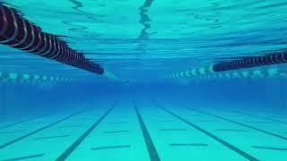 [ Regan Smith ] Backstroke UW Front View (May/2018)