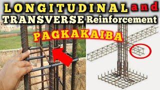 LONGITUDINAL AND TRANSVERSE REINFORCEMENT WHAT IS THE DIFFERENCE.LONGITUDINAL BAR, TRANSVERSE BAR.