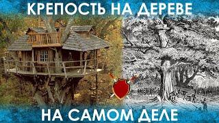 НАСТОЯЩАЯ КРЕПОСТЬ НА ДЕРЕВЕ