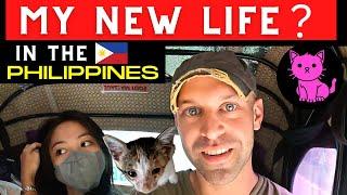 Rescued Kitten Update | Bohol, Philippines