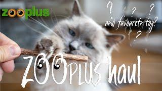 ZOOPLUS Haul Treats and Toys | Winter 2020 | Ragdolls Pixie and Bluebell