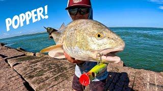 Jetty Fishing with a BIG Topwater! Redfish CRUSHED it!