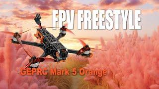 FPV Freestyle / GEPRC Mark 5 Orange