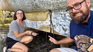 ️ Hurricane damaged catamaran. SO much water in BOTH keels  Ep 600