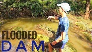 Exploring and Fishing Below a flooded dam (Unexpected Catch!)