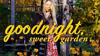 I'm a little sad about my cottage garden ... so let's go thrifting! (story 91)