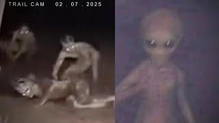 Most Disturbing Creatures Caught on Trail Cam 2025