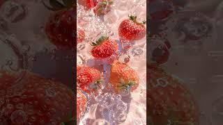 [R] Fruit Series_Strawberries (Live)