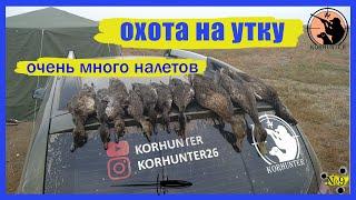 Лучшая охота на утку. Очень много налётов. Охота с духовыми манками