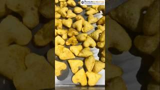 PaniPuri machinesPanipuri Fryer🫓Panipuri Cutting machine | Panipuri Cart#trending#shortsfeed#shorts