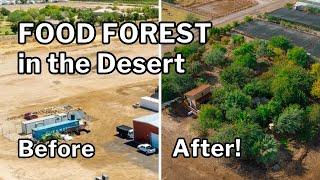 DESERT FOOD FOREST: He Picks Fruit Every Day of the Year!