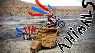 Beta 300rr Broke By Beta Boy in durability test (pro's enduro training)