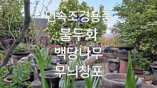 민속품/옹기/너와기와/절구/조경인테리어소재/무늬창포